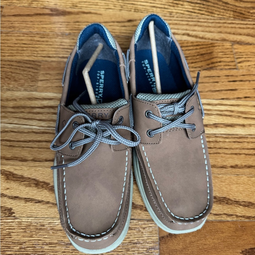 Sperry Men's Brown Boat Shoes